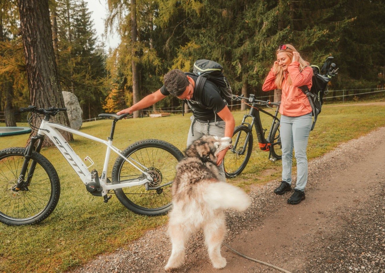 Radfahrer und Hund auf einem Herbstspaziergang