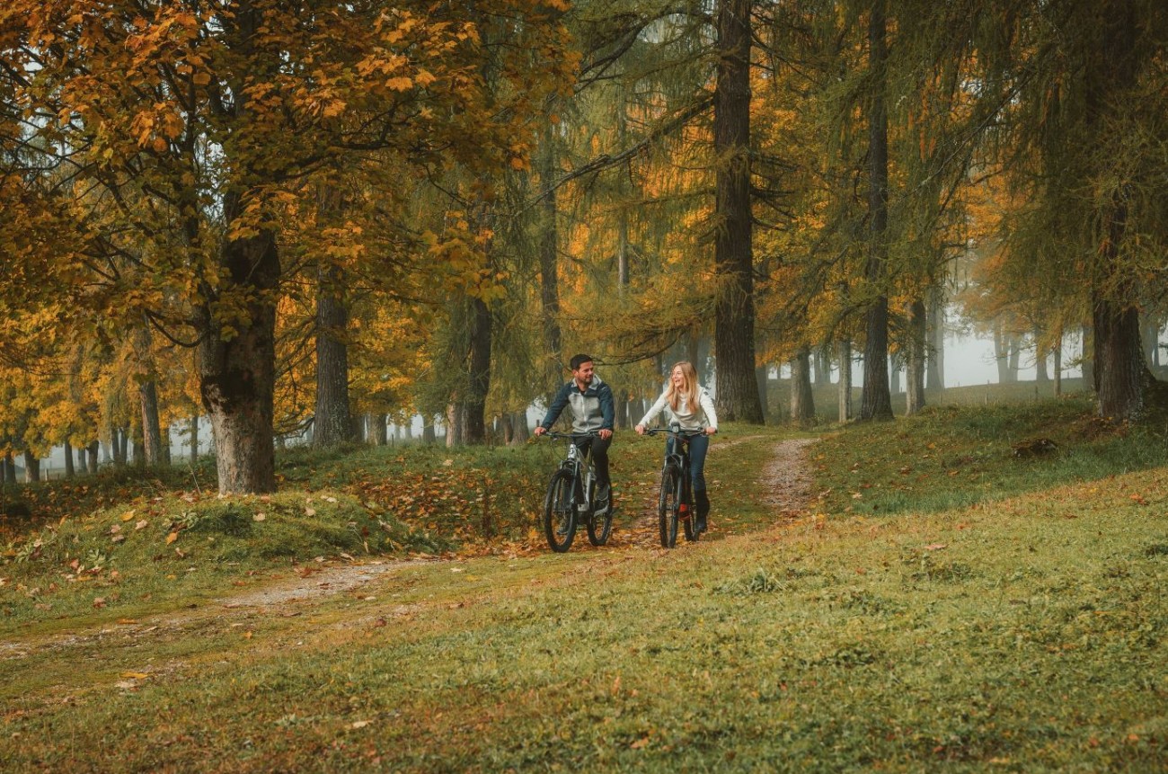 Couple on e-bikes in the autumn forest near Lindenhof, Ramsau