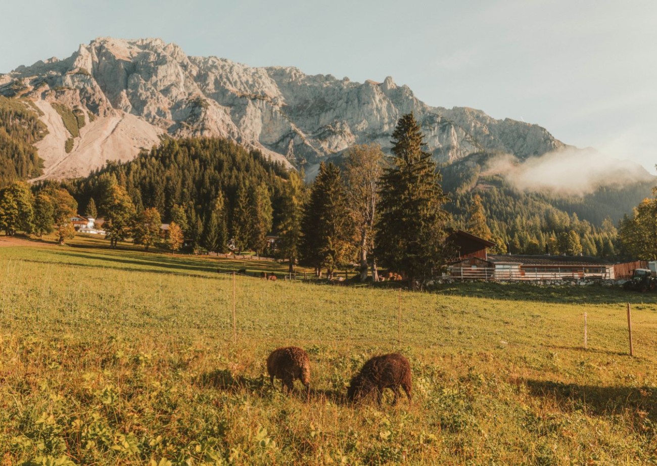 Landschaft im Herbst