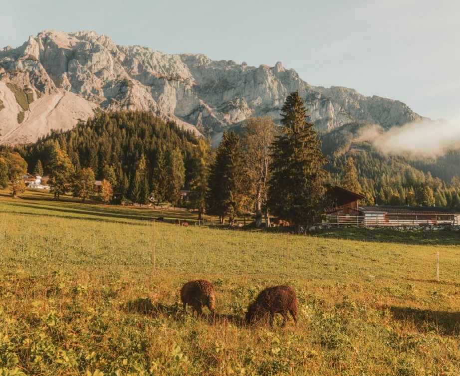 Herbst in am Fu&szlig;e des Dachsteinmassivs in der Schladming-Dachstein Region
