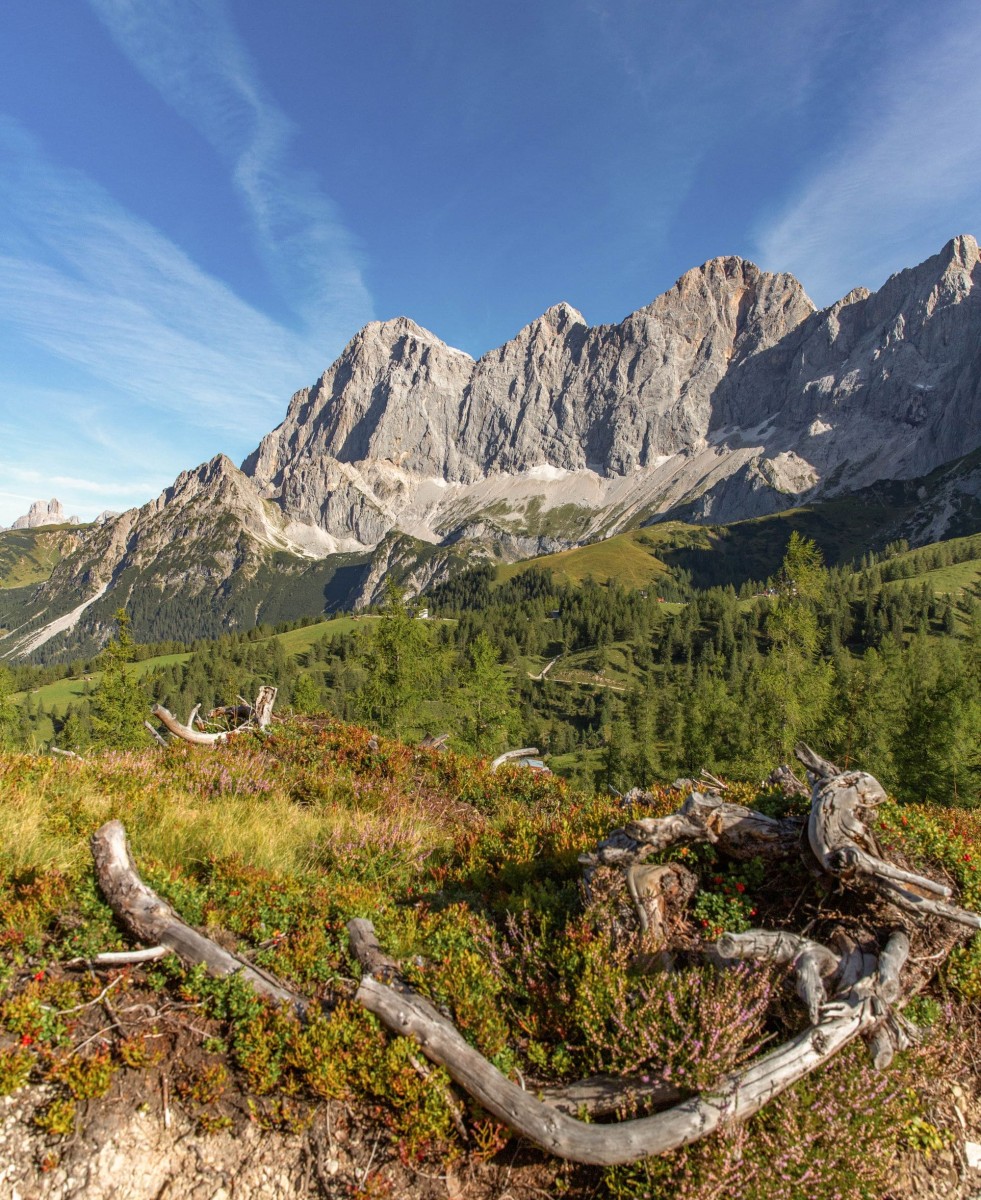 Schladming-Dachstein Card inklusive bei Ihren Aufenthalt