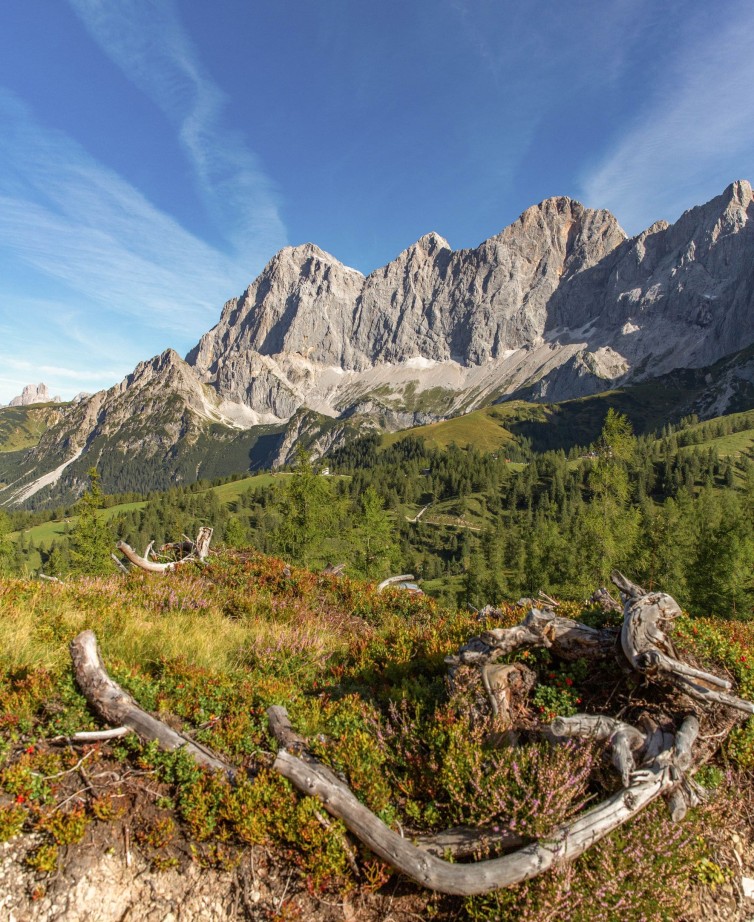 Idyllischer Wanderweg vor der Dachsteinkulisse bei Ramsau