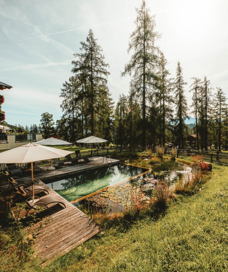 Natural biotope pond in the hotel's wellness area