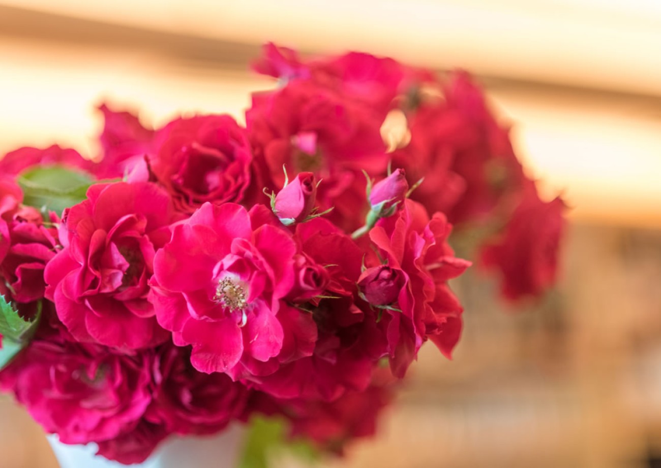 Flowers in the Lindenhof